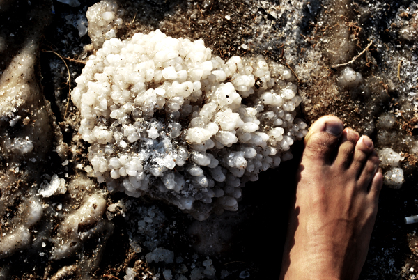 Salt crystals - Dead Sea