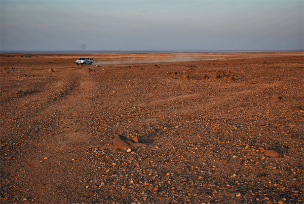 segnali di vita nel deserto orientale giordano