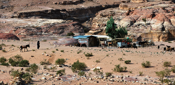 Petra, accampamento beduino