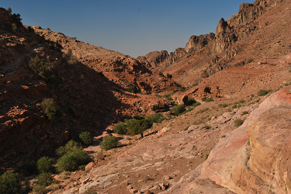 Petra, un wadi